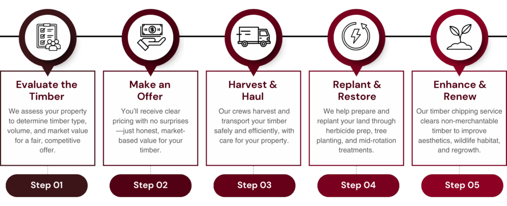 Timber Rights Process Home - Burgundy Timber, Inc.