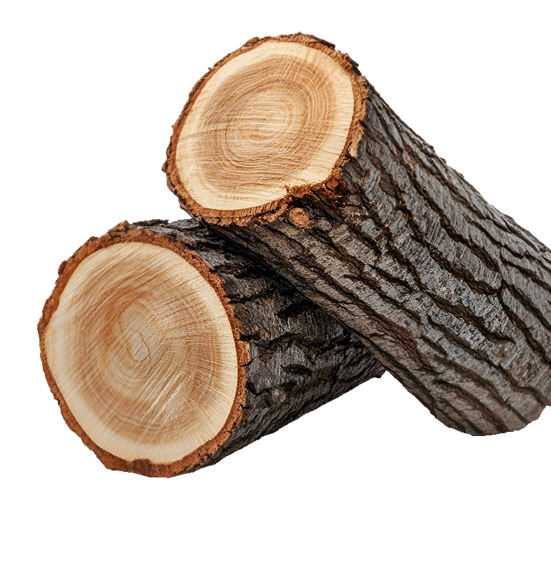 logs