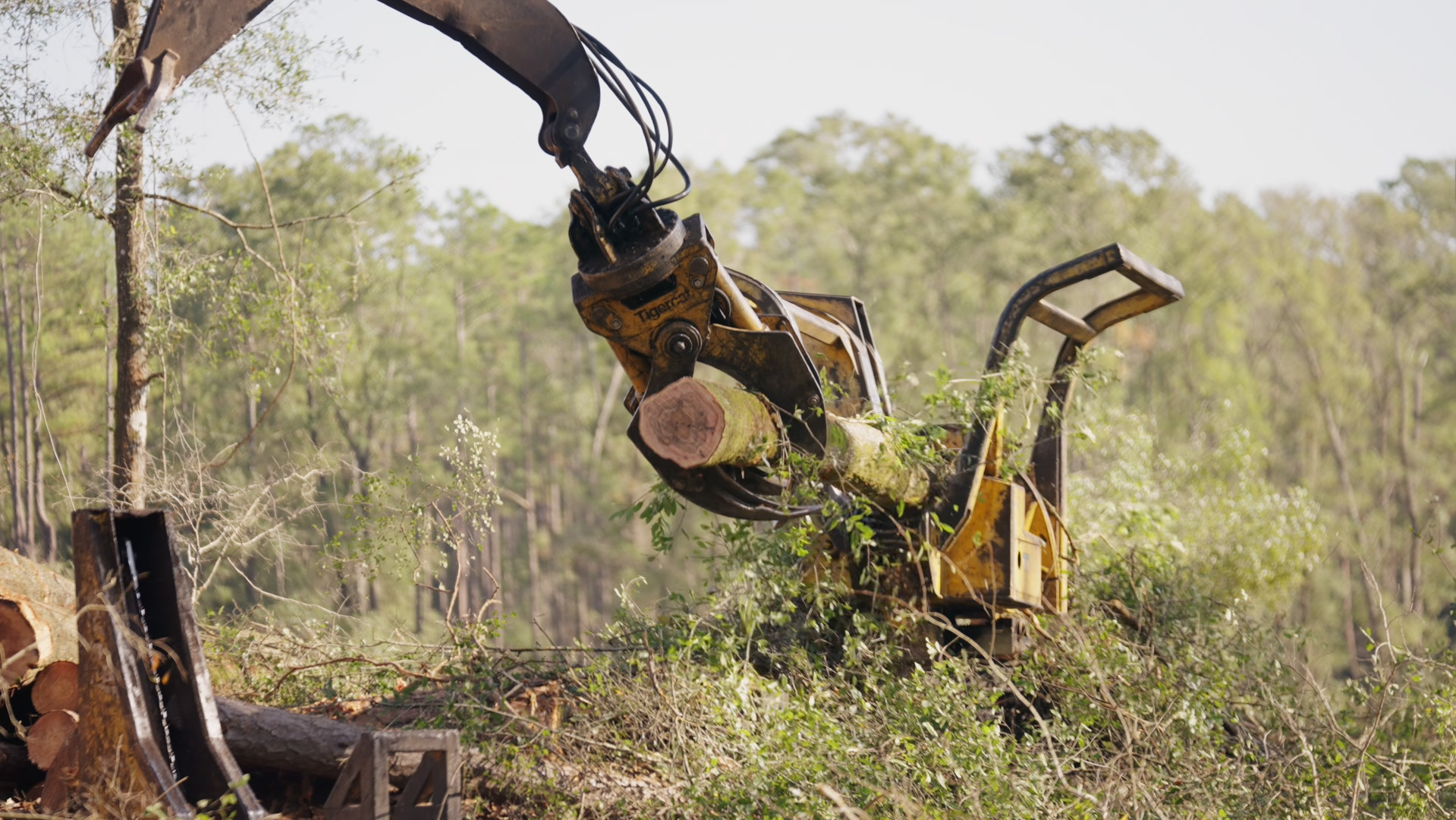 timber procurement final